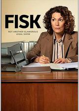 律师菲斯克 第一季