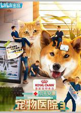 小主安康-宠物医院3