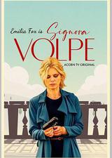 狐狸女士 第一季