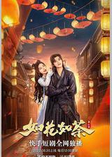 如花如荼 第二季