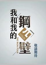 我和我的钢四壁