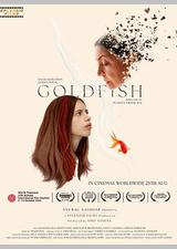 金鱼