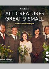 万物生灵 第三季