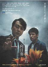 雨中消失的向日葵