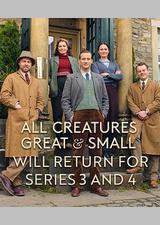 万物生灵 第四季