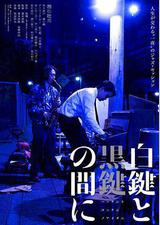 白键与黑键之间