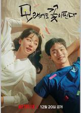 沙之花也有春天