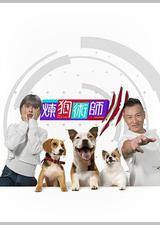 炼狗术师 Ⅲ