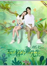 不一样的萧先生