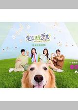 宠他，还是爱我？