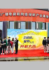 金灿灿的反转人生