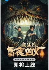 藏海花之雪夜凶灯