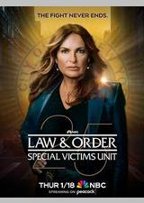 法律与秩序：特殊受害者 第二十五季