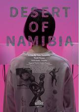 纳米比亚的沙漠