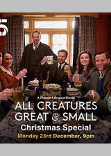 万物生灵：2024圣诞特别集