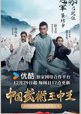 中国武术王中王