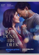 两个世界一个愿望