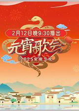 2025安徽卫视元宵晚会