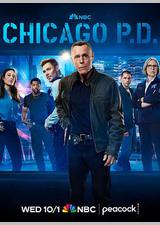 芝加哥警署 第十三季