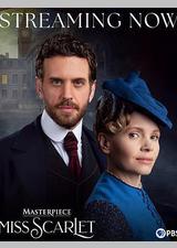 斯嘉丽小姐探案集 第六季