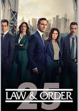 法律与秩序 第二十五季