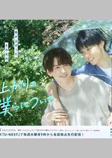 雨过天晴的我们