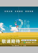 五十公里桃花坞5
