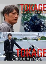TOKAGE 警视厅特殊犯搜查组
