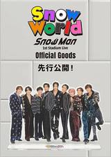 Snow Man 首次体育场演唱会：Snow World