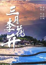 三月李花开