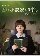 某小说家的日记