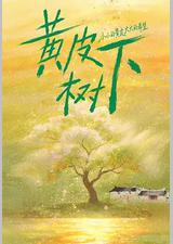 黄皮树下