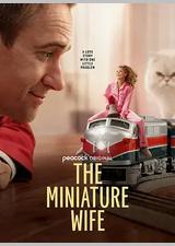 迷你妻子 第一季