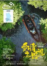爱情正路过