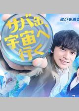 鲭鱼罐头，飞向宇宙