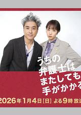 我家的律师又惹麻烦了