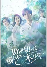 没有砍十次还不倒的树