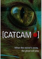 猫咪摄像头