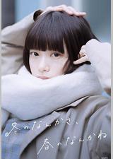 冬日的什么呀，春日的什么呢