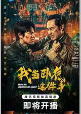 我当卧底这件事
